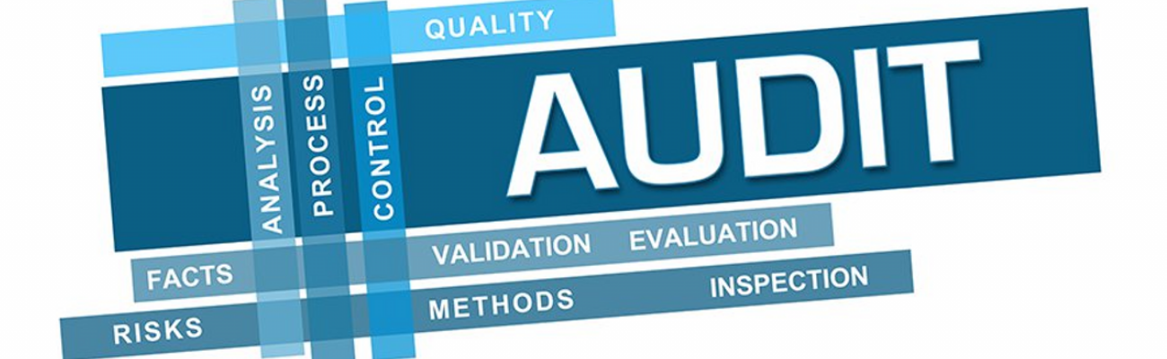 Audit